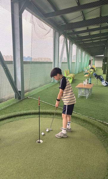 高爾夫球:圖片 8