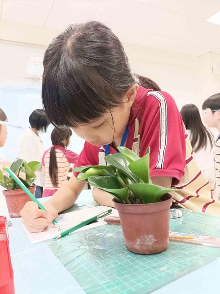 手作玩藝-玄關小物:圖片 8