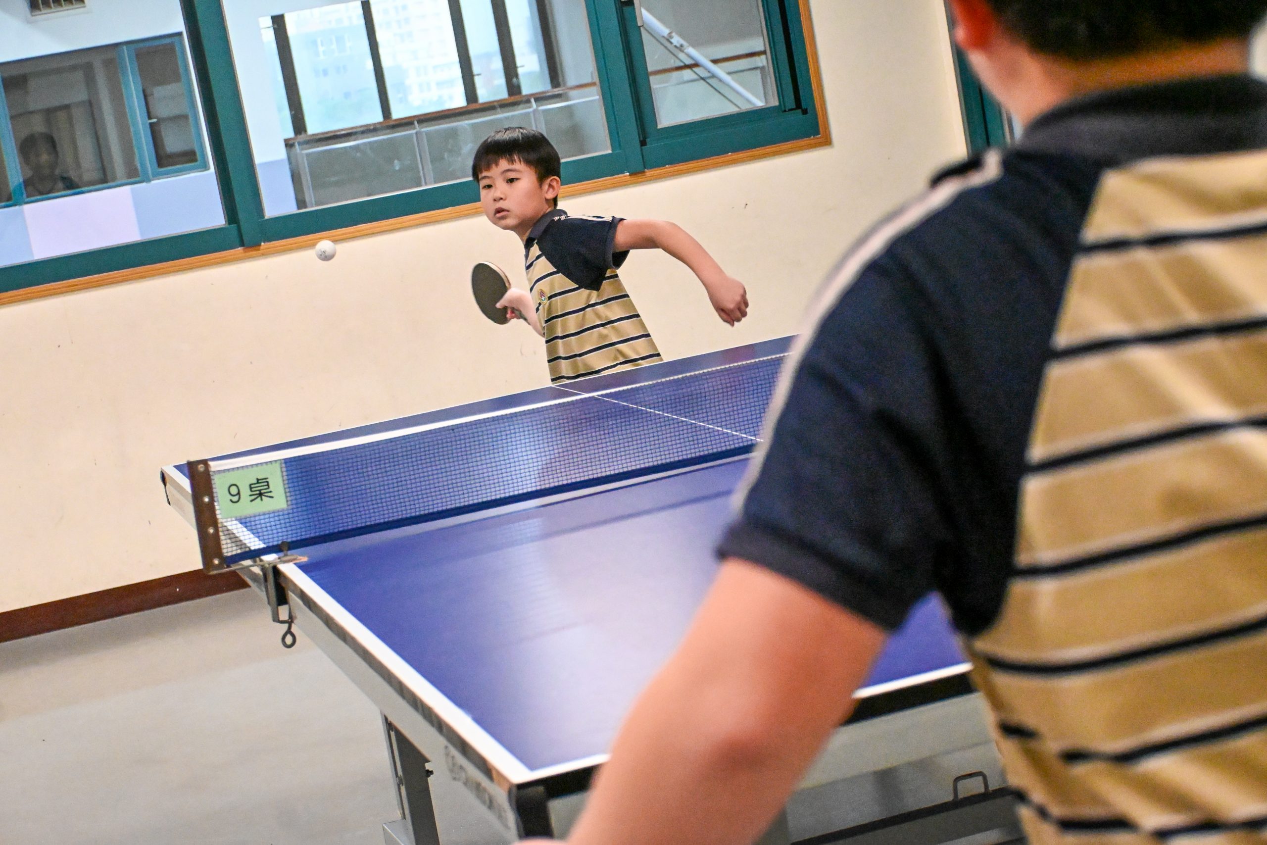 桌球:圖片 4